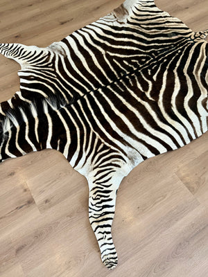B Grade Zebra Skin (B1)