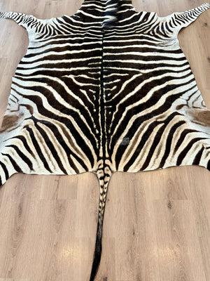 B Grade Zebra Skin (B1)