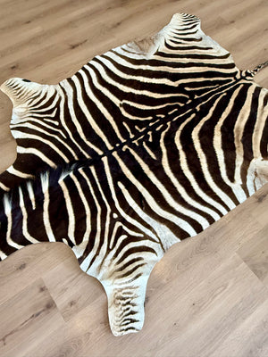 B Grade Zebra Skin (B4)