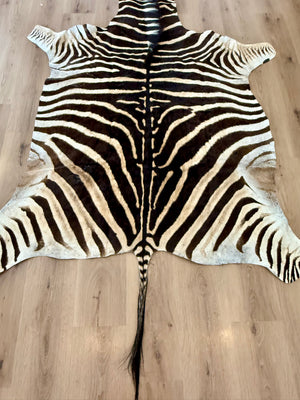 B Grade Zebra Skin (B4)