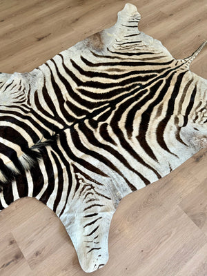 B Grade Zebra Skin (B9)