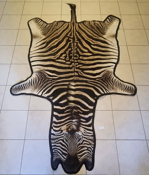 B Grade Zebra Skin with Felt backing (BF11-1)