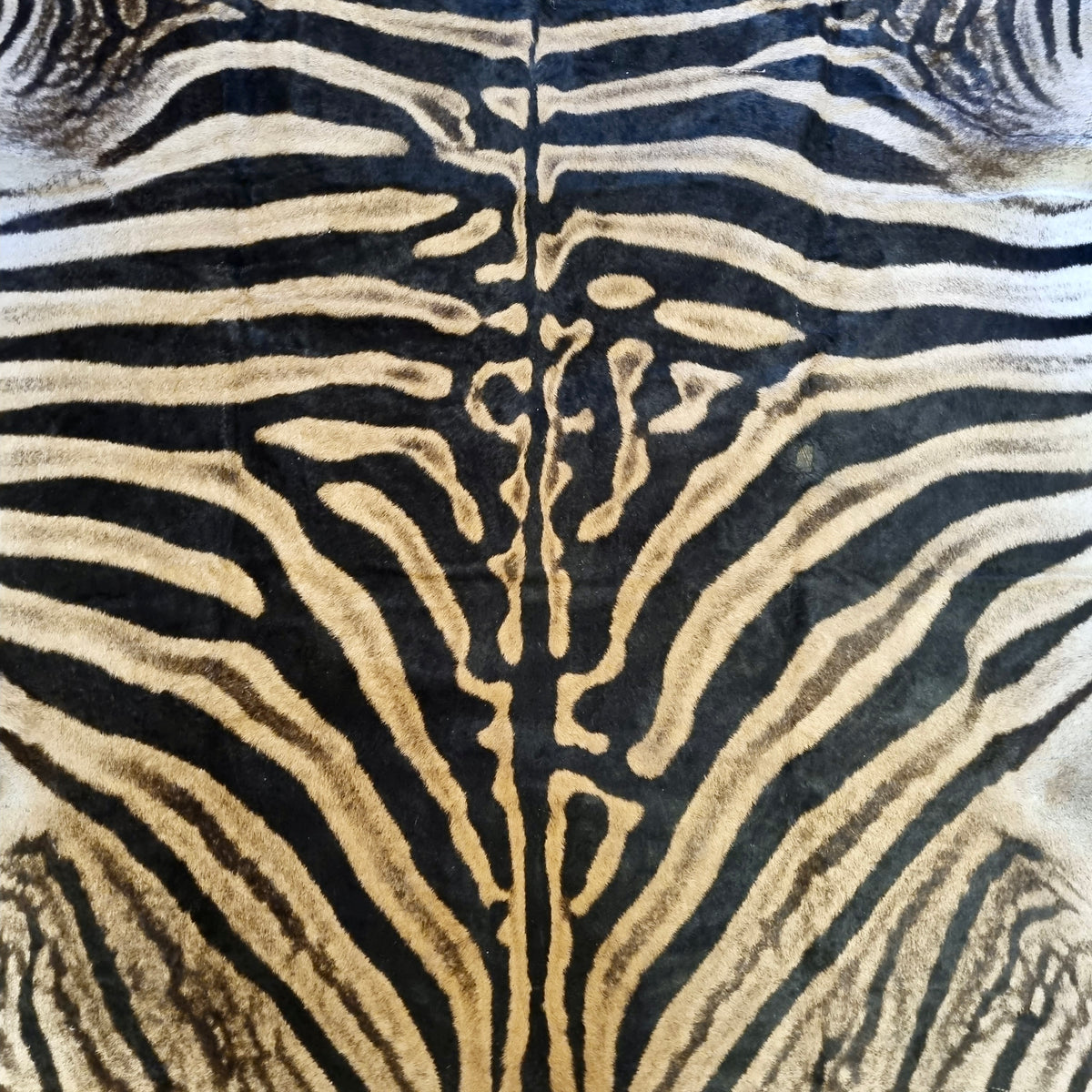 B Grade Zebra Skin with Felt backing (BF11-1)