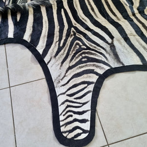 A Grade Zebra Skin with Felt backing (AF11-1)