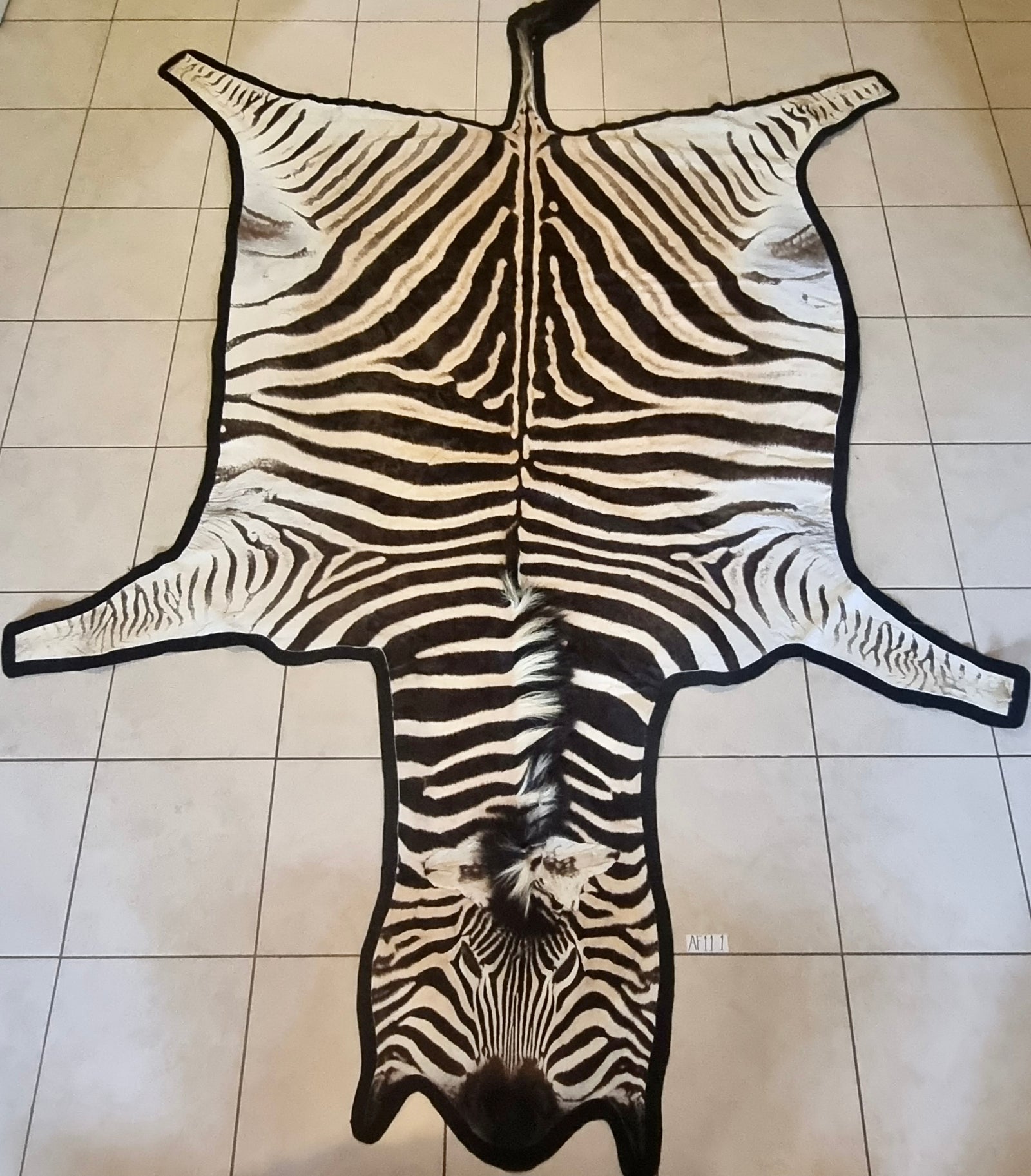 A Grade Zebra Skins and Zebra Rugs - A Grade Zebra Rugs for Sale ...