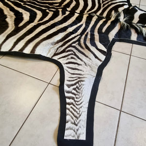 B Grade Zebra Skin with Felt backing (BF12-1 [11-1])