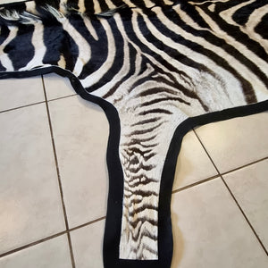 B Grade Zebra Skin with Felt backing (BF12-1 [11-1])