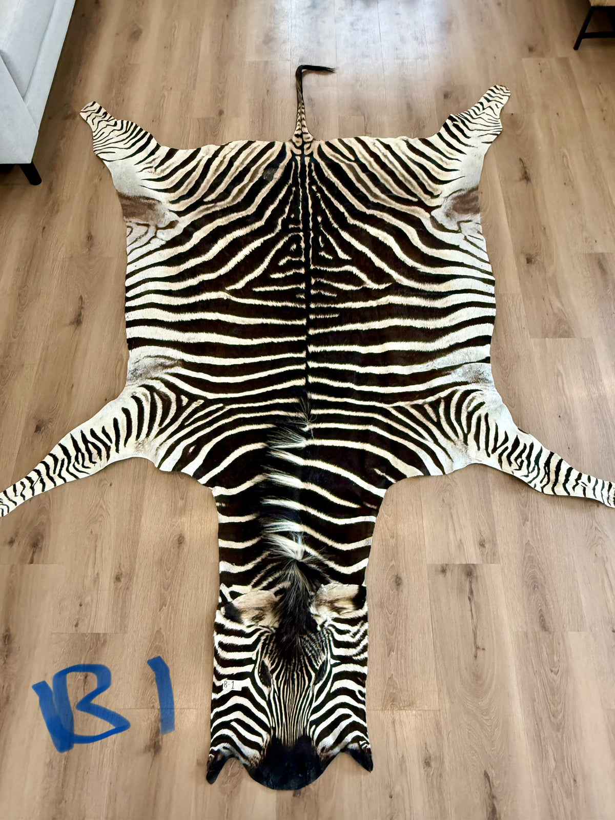 B Grade Zebra Skin (B1)