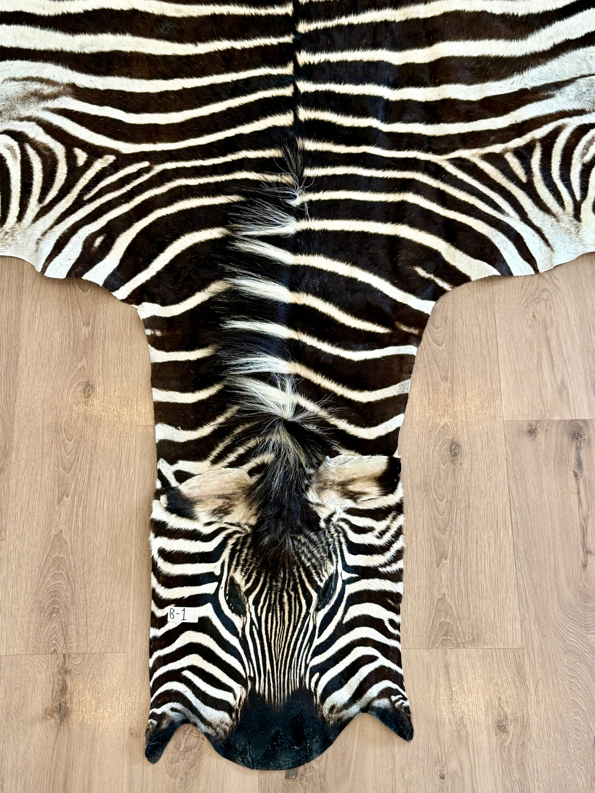 B Grade Zebra Skin (B1)