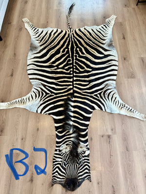 B Grade Zebra Skin (B2)