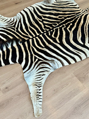 B Grade Zebra Skin (B2)