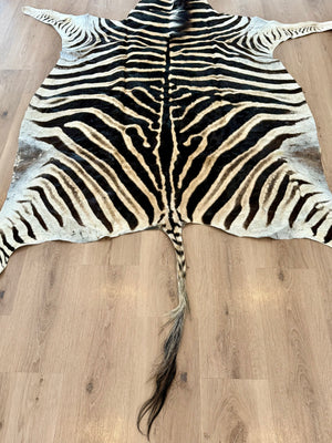 B Grade Zebra Skin (B2)