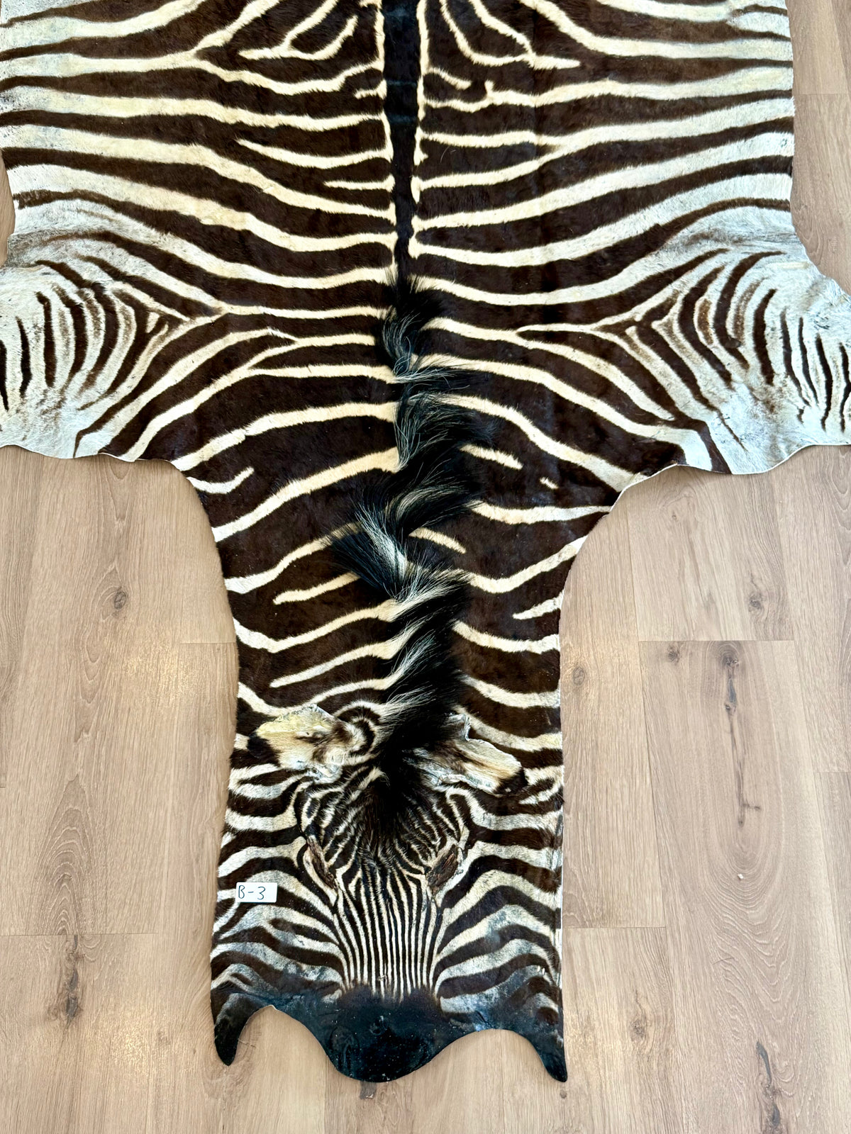 B Grade Zebra Skin (B3)