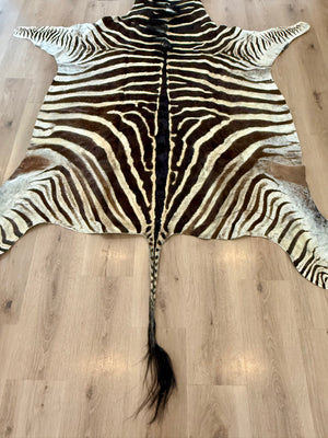 B Grade Zebra Skin (B3)