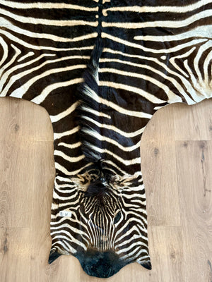 B Grade Zebra Skin (B4)