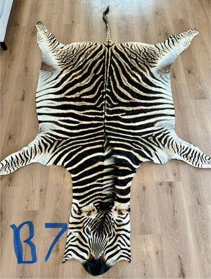 B Grade Zebra Skin (B7)