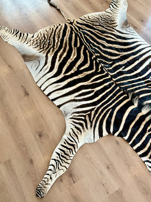 B Grade Zebra Skin (B7)