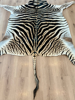B Grade Zebra Skin (B7)