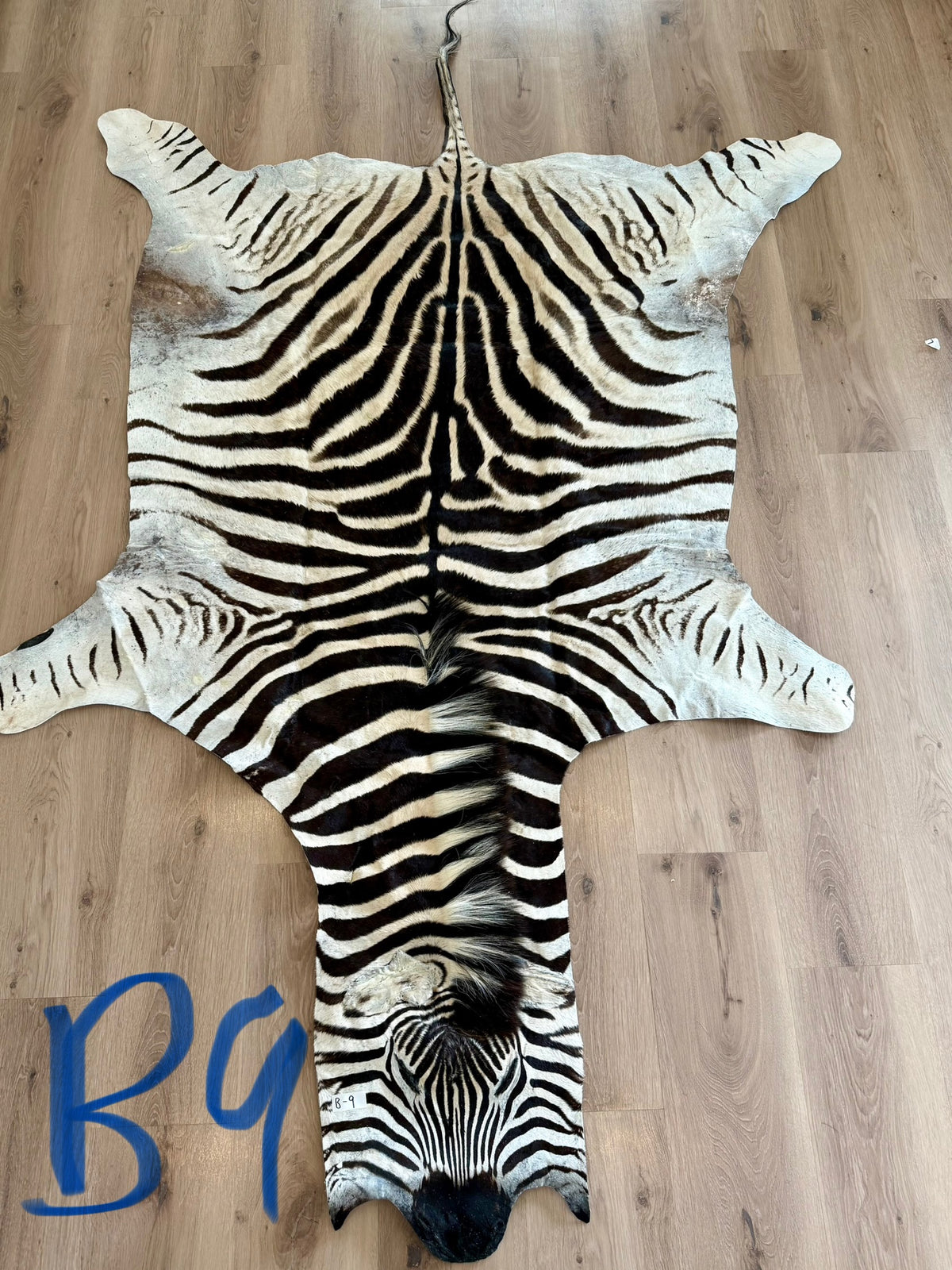 B Grade Zebra Skin (B9)