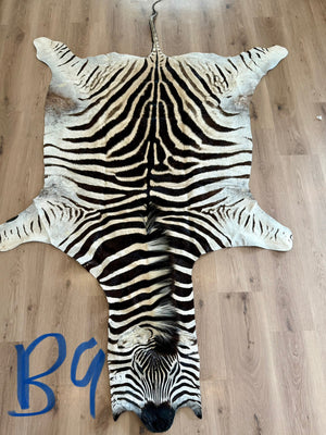 B Grade Zebra Skin (B9)
