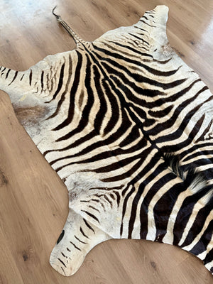 B Grade Zebra Skin (B9)