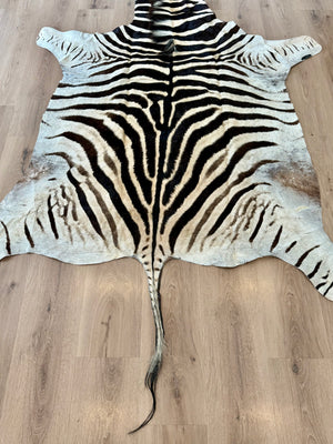 B Grade Zebra Skin (B9)