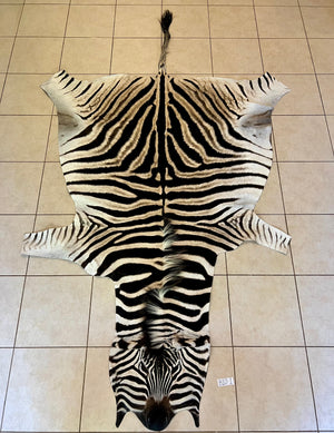 B Grade Zebra Skin without Felt backing (B10-1)