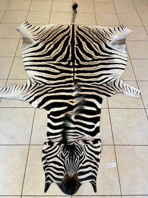 B Grade Zebra Skin without Felt backing (B10-1)