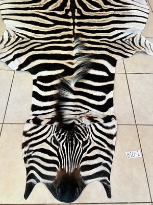 B Grade Zebra Skin without Felt backing (B10-1)