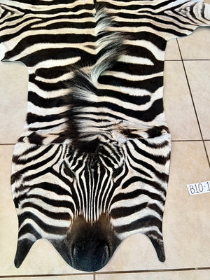 B Grade Zebra Skin without Felt backing (B10-1)