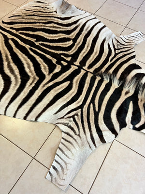 B Grade Zebra Skin without Felt backing (B10-1)