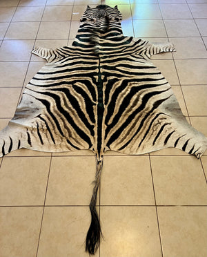 B Grade Zebra Skin without Felt backing (B10-1)