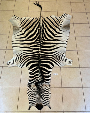 B Grade Zebra Skin without Felt backing (B10-3)