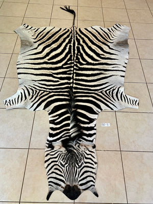 B Grade Zebra Skin without Felt backing (B10-3)