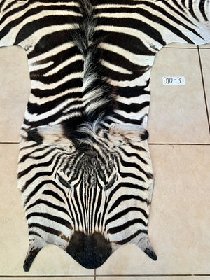 B Grade Zebra Skin without Felt backing (B10-3)