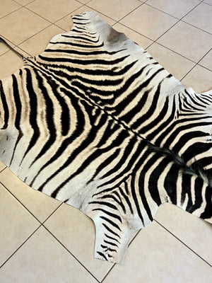 B Grade Zebra Skin without Felt backing (B10-3)