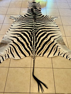 B Grade Zebra Skin without Felt backing (B10-3)