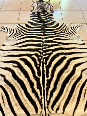 B Grade Zebra Skin without Felt backing (B10-3)