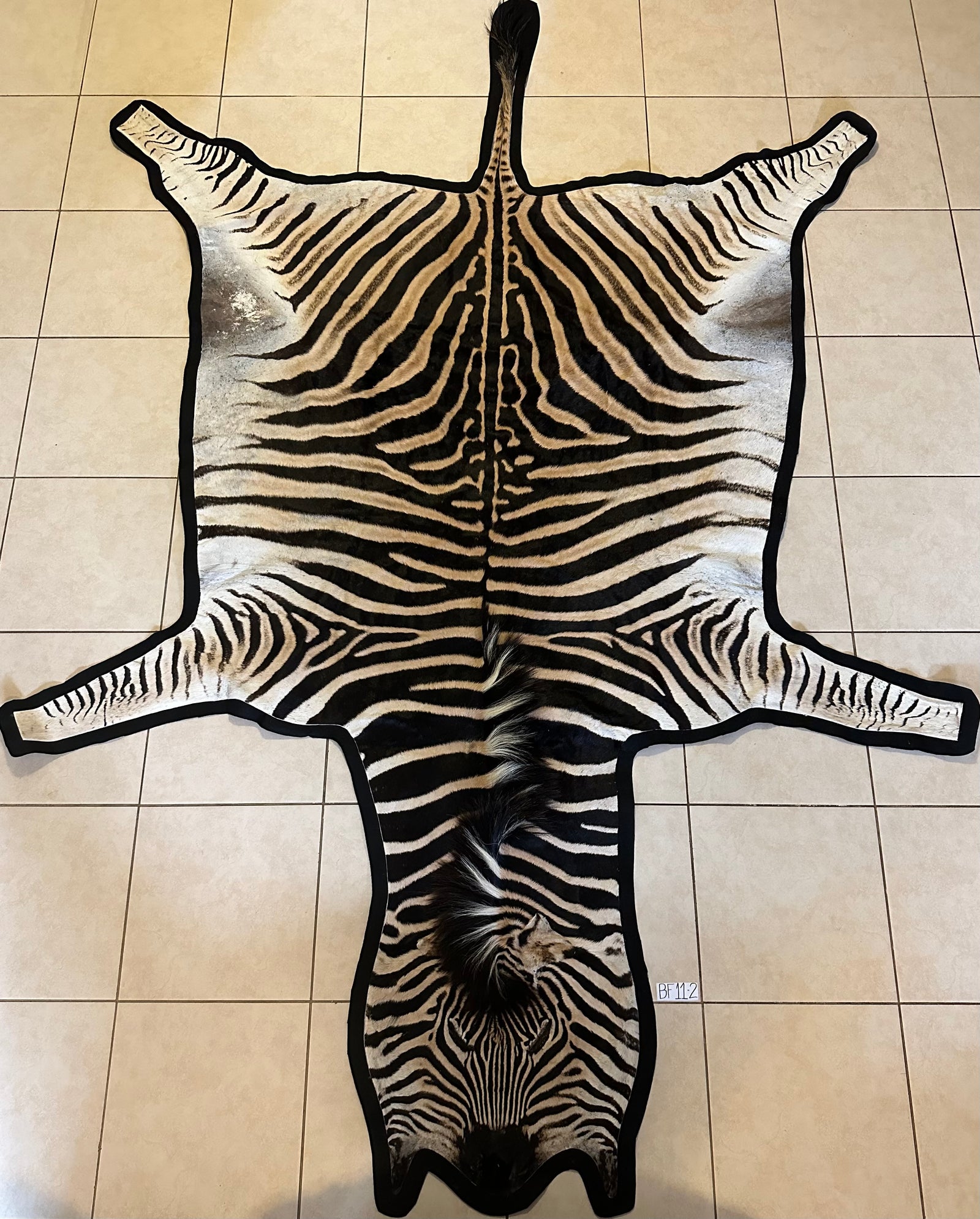 Real Zebra Skins and Zebra Rugs - Real Zebra Rugs for Sale - African ...