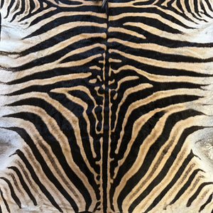 B Grade Zebra Skin with Felt backing (BF11-2)