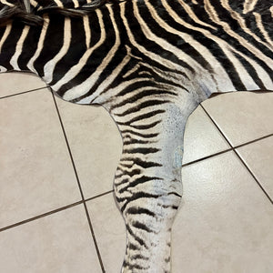 A Grade Zebra Skin (A11-1)