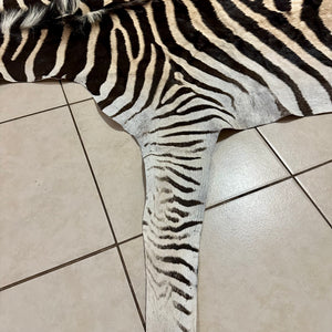 A Grade Zebra Skin (A11-2)