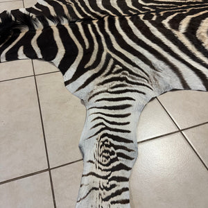 B Grade Zebra Skin (B11-1)