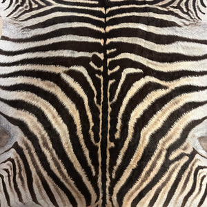 B Grade Zebra Skin (B11-1)