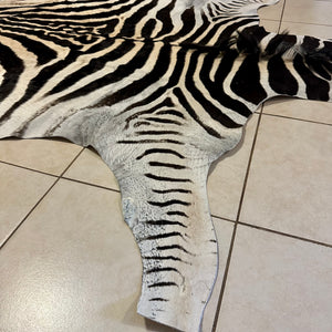 A Grade Zebra Skin (A11-3)