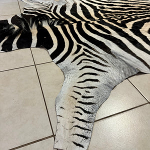 A Grade Zebra Skin (A11-3)