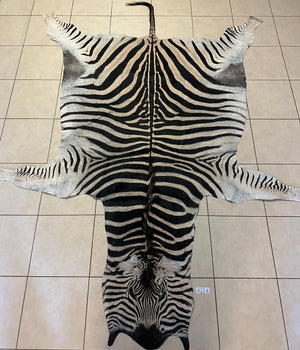 A Grade Zebra Skin (A11-4)