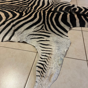 A Grade Zebra Skin (A11-4)