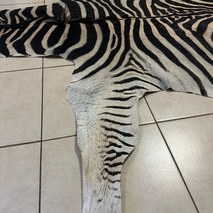 A Grade Zebra Skin (A11-4)